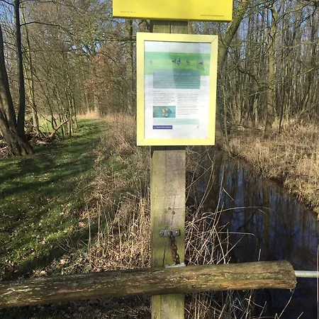 Geraeumiges Mitten Im Wald By Interhome * Winterswijk