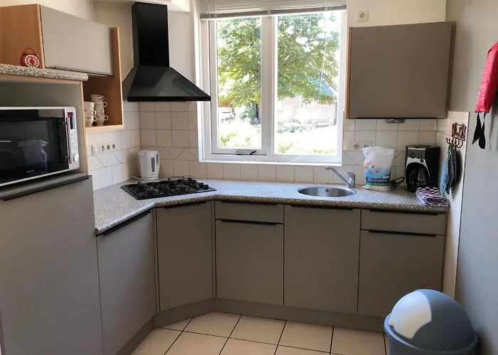 Geraeumiges Mitten Im Wald By Interhome Semesterbostad Winterswijk