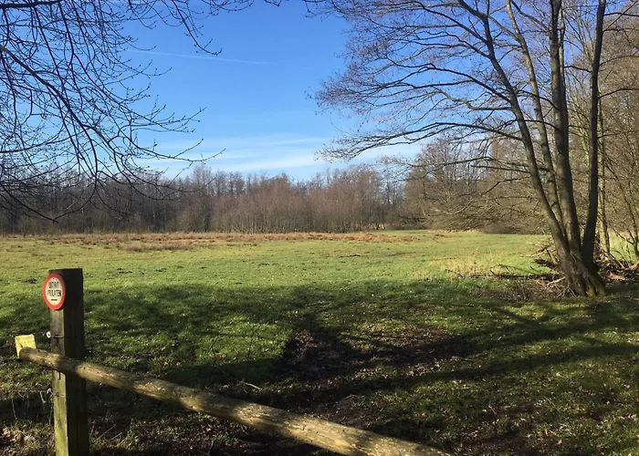 Geraeumiges Mitten Im Wald By Interhome * Winterswijk