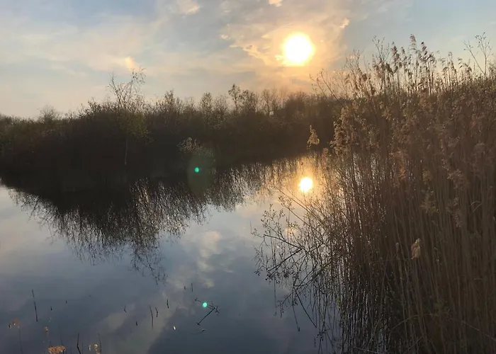 Semesterbostad Geraeumiges Mitten Im Wald By Interhome