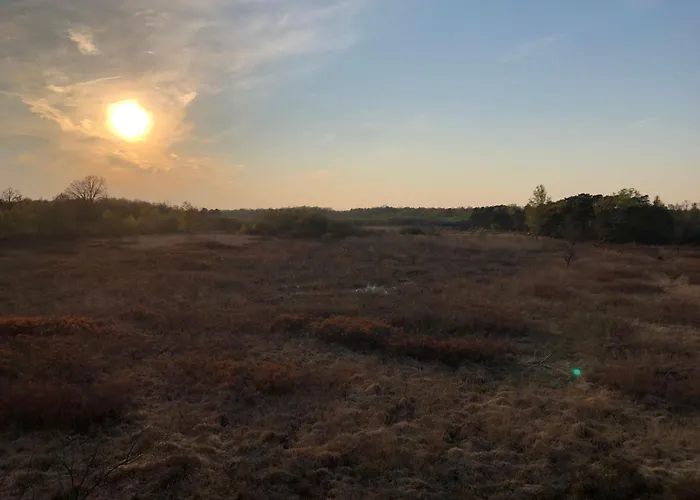 Geraeumiges Mitten Im Wald By Interhome * Winterswijk