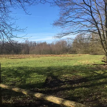 Geraeumiges Mitten Im Wald By Interhome * Winterswijk