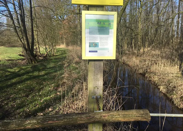 Geraeumiges Mitten Im Wald By Interhome * Winterswijk