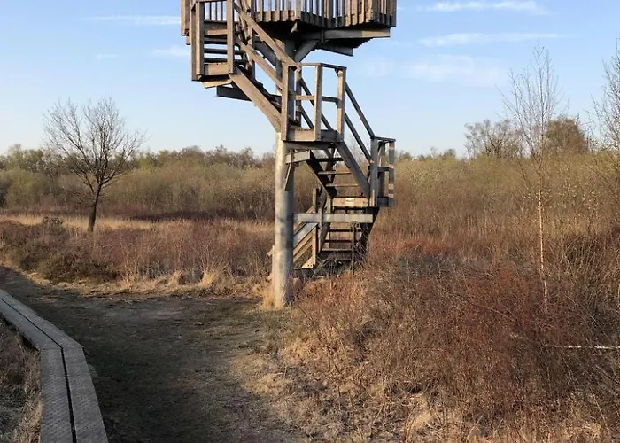 Geraeumiges Mitten Im Wald By Interhome Ferienhaus *